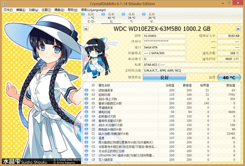HDD 1T(Work)